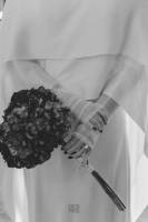 Guillaume CACHEUX - CACHPROD