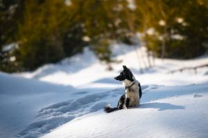 Philippe MURTAS - PHILIPPE MURTAS PHOTOGRAPHE